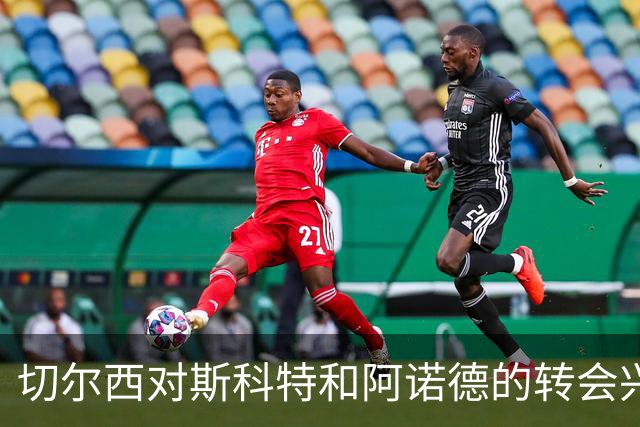切尔西对斯科特和阿诺德的转会兴趣分析